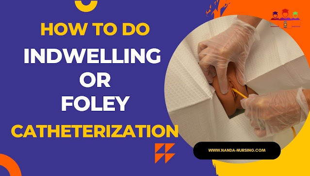 Foley Catheterization : A Comprehensive Foley catheterization Guide