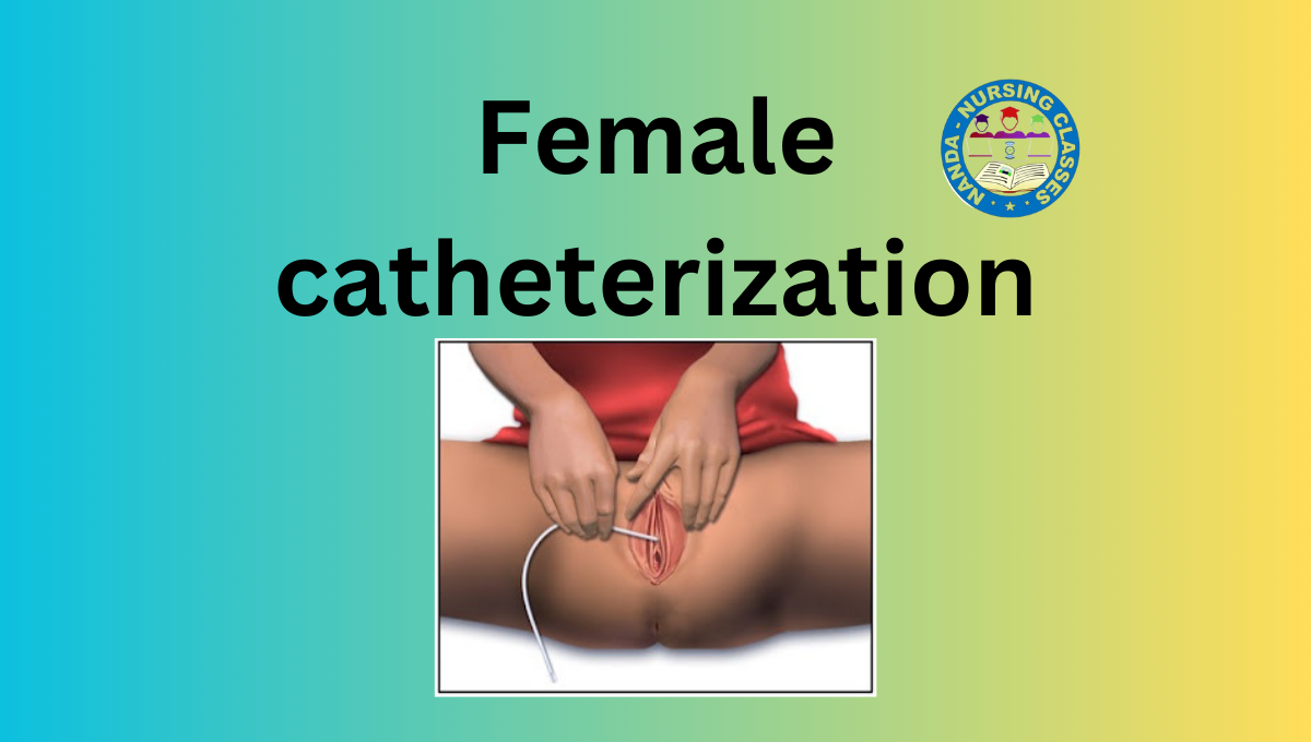Female Catheterization in Hindi