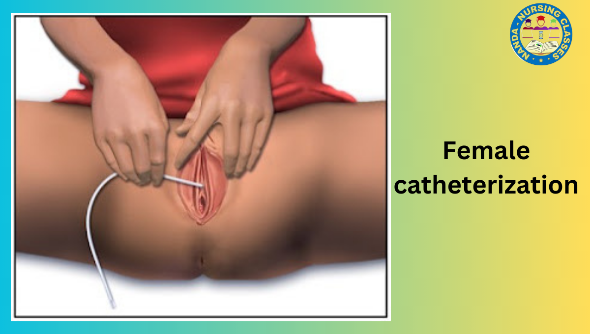 Female catheterization, female catheterisation, catheterization, female, catheterisation, female catheter, female catheterization, female urinary catheterisation, external female catheter, male catheterisation, catheterisation male, bladder catheterization, urinary catheterization, osce catheterisation, urinary bladder catheterization, cathetersation, baby catheterisation, urethral catheterisation, urinary catheterization procedure demo, foley catheter female, female foley catheter, urinary catheterization, female catheterization procedure nurses in hindi, catheterization, catheterization in female dog, catheterization procedure nurses in hindi, female catheterization procedure in nursing, urinary catheterization procedure nurses in hindi, male catheterization, female catheterization, foley catheterization procedure in female in hindi and english।, catheter insertion in hindi, self catheterization, urethral catheterization