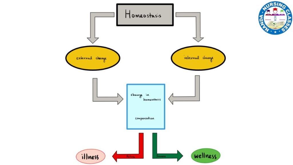 homeostasis ejemplos, homeostasis, que es homeostasis, what is homeostasis, homeostasis in hindi, homeostasis example, homeostasis biology, calcium homeostasis, homeostasis examples, how homeostasis works, kajal jha homeostasis, purpose of homeostasis, example of homeostasis, why we need homeostasis, homeostasis explained, homeostasis biologica, overview of homeostasis, homeostasis physiology, homeostasis seres vivos, homeostasis definition, homeostasis components, homeostasis fisiologia, miss angler homeostasis