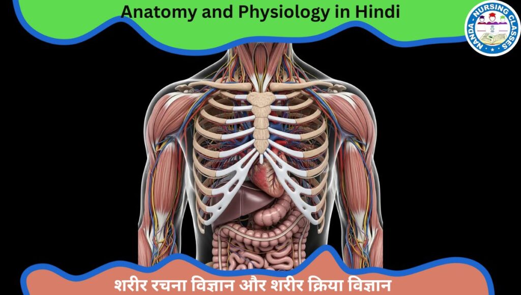 anatomy and physiology in hindi, human anatomy and physiology in hindi, antomy and physiology in hindi, anatomy and physiology gnm 1st year in hindi, introduction of anatomy and physiology in hindi