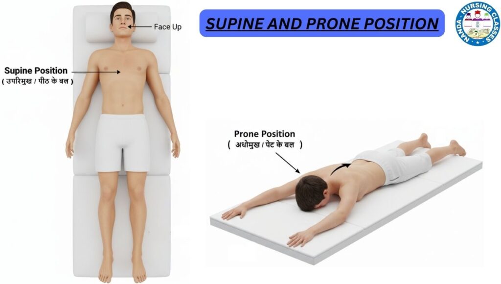 supine and prone position
